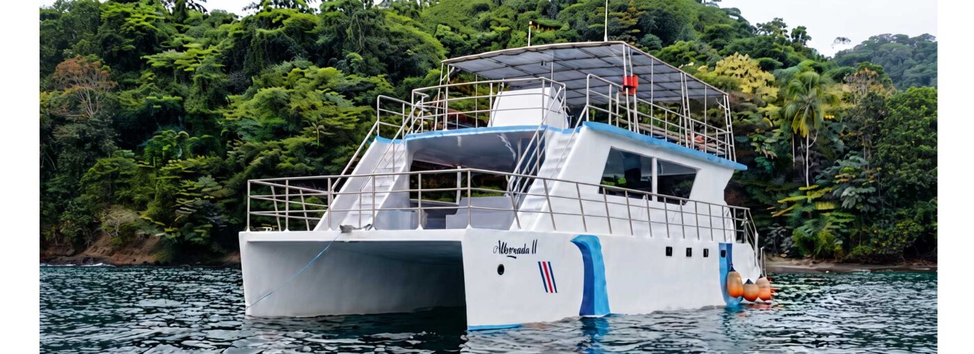 Tour Catamarán Isla Tortuga